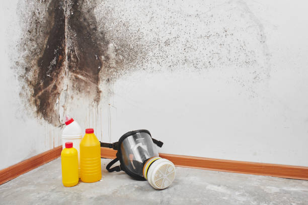 Colonial Pine Hills, SD Mold Removal Company