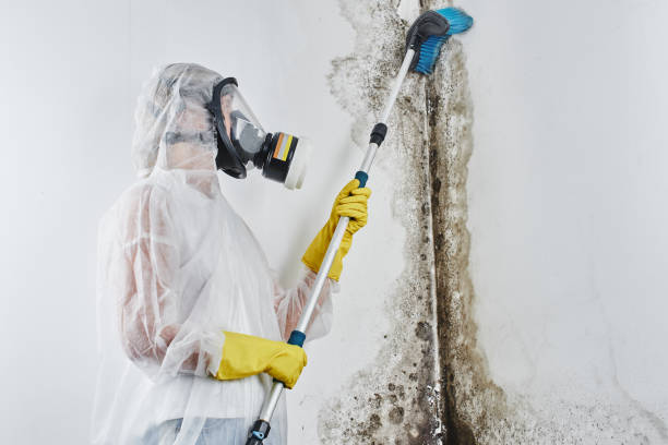 Best Mold Cleaning Services  in Colonial Pine Hills, SD