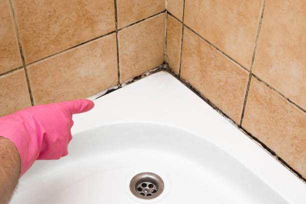 Best Office Mold Removal Services  in Colonial Pine Hills, SD